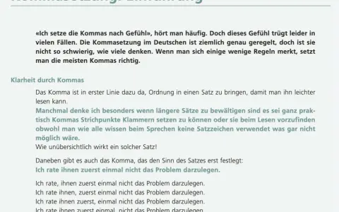 Text über Kommasetzung. Ein Satz erklärt, dass Kommas Ordnung schaffen, besser als nur Gefühl. Mehrere Beispiele zeigen, wie Kommas den Sinn verändern.