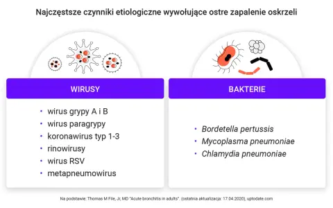Ostre zapalenie oskrzeli jest zaraźliwe. Lista wirusów (grypa, paragrypa, koronawirus, rinowirus, RSV, metapneumowirus) i bakterii (Bordetella pertussis, Mycoplasma pneumoniae, Chlamydia pneumoniae) wywołujących chorobę.