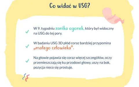 W 9. tygodniu ciąży, który to miesiąc rozwoju, płód na USG przypomina "małego człowieka". Zanika ogonek, pojawiają się szczegóły na głowie.