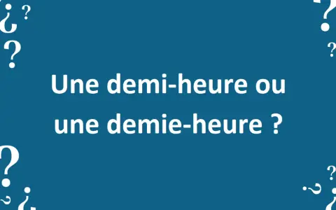 Des points d'interrogation entourent le texte "Une demi-heure ou une demie-heure ?". La conjugaison du verbe dépendre est ici mise en question.