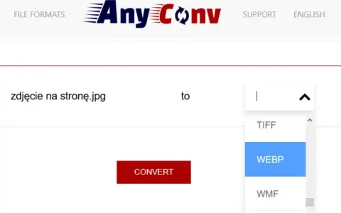 Jaki format zdjęć na stronę? WebP i AVIF to klucz do szybkiej strony