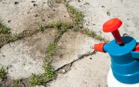 Ein Sprühgerät mit Essig als Unkrautvernichter wird auf Unkraut in Betonritzen gerichtet.