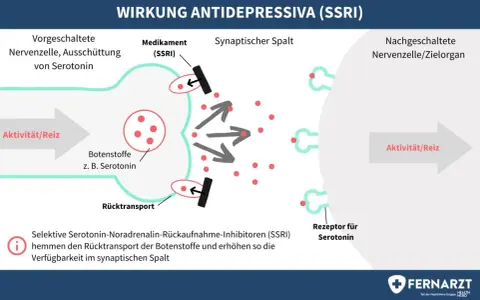 Schema der SSRI-Wirkung: Medikamente hemmen Serotonin-Rücktransport, erhöhen Verfügbarkeit im synaptischen Spalt. Eine Liste von Psychopharmaka könnte dies veranschaulichen.