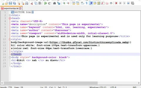 Pierwsza strona WWW w Notepad++? Prosty poradnik HTML od zera!