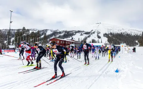Skidåkare i full fart, redo för dundret runt. En tävling i snöklädda bergsmiljöer med en stor grupp deltagare.