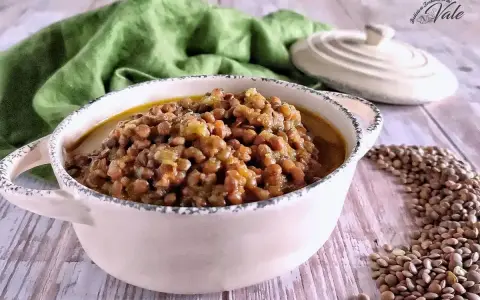 Un invitante piatto di lenticchie in umido, servito in una ciotola rustica, con un panno verde sullo sfondo.
