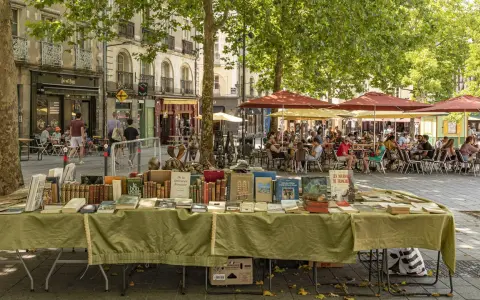 Ein Buchstand mit alten Büchern auf einem sonnigen Platz in Rennes, Frankreich. Im Hintergrund sitzen Menschen in einem Straßencafé.