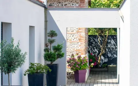 Idée aménagement jardin devant maison : olivier et conifères en pots, passage vers un patio en bois avec hortensias.