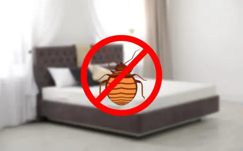 Señal de prohibido sobre un chiche en un colchón. Aprende como eliminar chinches del colchon y recupera tu descanso.