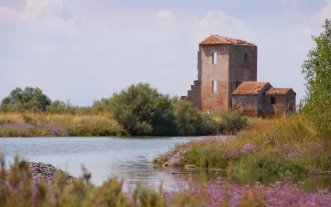 Rovine di un antico edificio tra canneti e fiori viola, un paesaggio suggestivo nei dintorni di Ferrara.