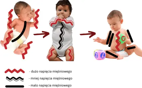 Trzy etapy rozwoju niemowlęcia: od wzmożonego napięcia mięśniowego do swobodnych ruchów. Ćwiczenia pomagają w redukcji napięcia.