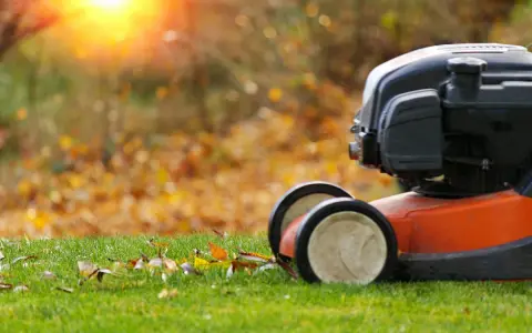 Lawn mower ready for fall lawn maintenance. Fallen leaves litter the green grass as the sun sets.