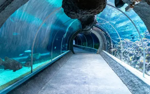 Oceanarium w Łodzi? Odkryj Orientarium ZOO: Tunel, Ceny, Dojazd