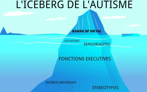 L'iceberg de l'autisme : handicap social, autonomie, sensorialités, fonctions exécutives, intérêts restreints et stéréotypies. Le syndrôme d'Asperger léger est souvent représenté ainsi.