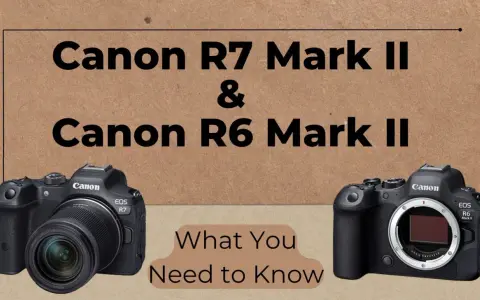 Dos cámaras Canon: la EOS R7 Mark II y la EOS R6 Mark II, listas para capturar tus mejores momentos.