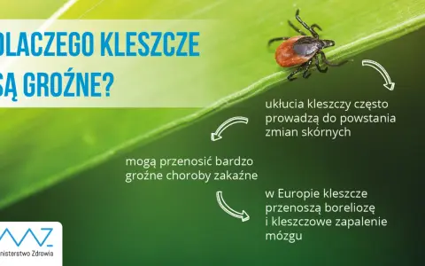 Kleszcz w pralce: Czy przeżyje? Jak go zabić na pewno?
