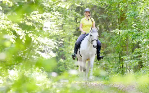 Eine Frau reitet auf einem weißen Pferd durch einen sonnendurchfluteten Wald. Das **Pferd ausreiten** ist ein idyllisches Erlebnis.