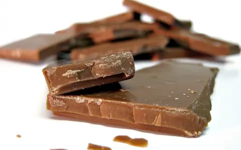 En hög med chokladbitar, några staplade, andra utspridda. Chokladfinnarna ser sega och söta ut.
