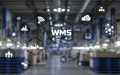System klasy WMS integruje zarządzanie magazynem, od pracy wózków widłowych po analizę danych i chmurę.