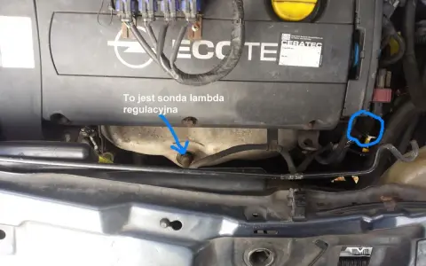 Silnik Opla z zaznaczoną sondą lambda, która może być przyczyną błędu dtc p0136.