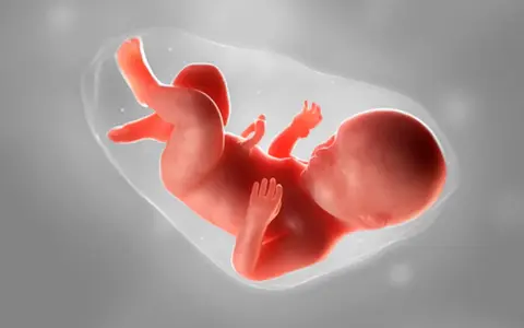 Ein Fötus in der 20. SSW. Statistiken zeigen, dass die meisten Babys um diese Zeit herum geboren werden.