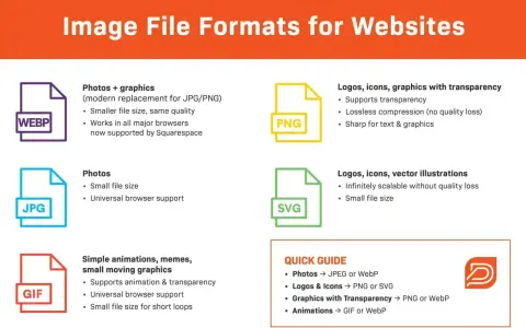 Przewodnik po formatach zdjęć dla stron internetowych: WEBP, JPG, GIF, PNG, SVG. Wybierz odpowiedni format pliku.