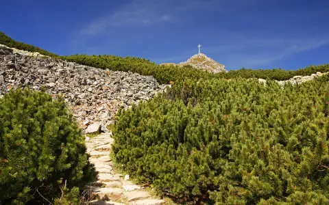 Kamienista ścieżka, niebieski szlak na Giewont, wśród kosodrzewin i skalistych zboczy. Na szczycie widoczny krzyż.