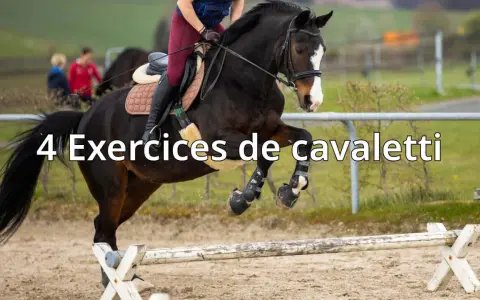 Un cheval brun saute par-dessus un obstacle de **cavaletti équitation**. Le cavalier est en selle, prêt pour l'entraînement.