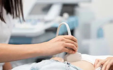 Badanie USG jamy brzusznej. Pęcherz moczowy słabo wypełniony może oznaczać potrzebę nawodnienia lub inne przyczyny.