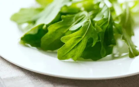 Ile kalorii ma rukola? Odkryj jej sekrety i schudnij!
