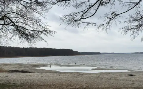Plaża nad jeziorem, z widokiem na las. W oddali widać słupy, być może pozostałości po dawnej infrastrukturze pola namiotowego Anastazewo.