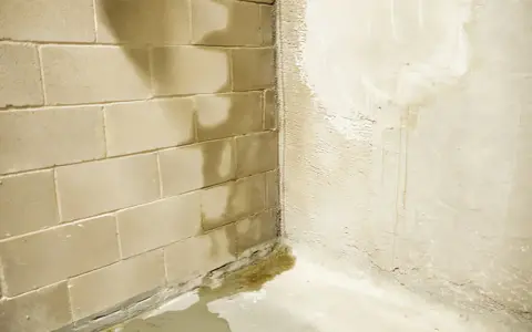 Feuchter Keller: Wasserflecken an Betonwänden und Pfützen auf dem Boden deuten auf ein Problem hin. Was tun?