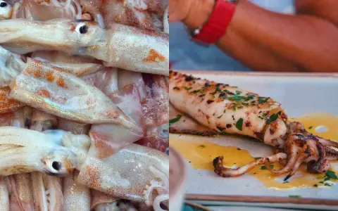 Calamar fresco y un calamar a la parrilla con hierbas. El calamar es pescado blanco, ideal para preparar.