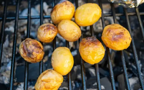 Kleine, goldbraune Kartoffeln garen auf dem Grillrost über glühender Kohle. Sie sind bereit für ein leckeres Abendessen.
