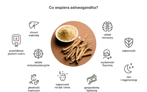 Ashwagandha wspiera: prawidłowy poziom cukru, wątrobę, układ nerwowy, odporność, wydolność fizyczną, sen, płodność, gospodarkę lipidową i działa antyoksydacyjnie.