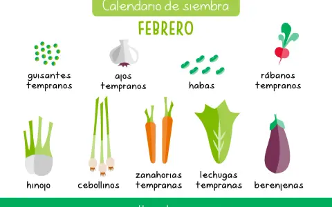 Calendario de siembra de febrero: guisantes, ajos, habas, rábanos, hinojo, cebollinos, zanahorias, lechugas y berenjenas.