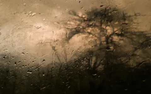 Gouttes de pluie sur une vitre, floutant l'ombre d'un arbre. Belles photos sous la pluie, une ambiance mélancolique et artistique.