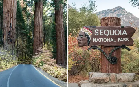 Droga prowadzi przez park narodowy sekwoi, obok gigantycznych drzew. Znak "Sequoia National Park" z wizerunkiem Indianina wita gości.