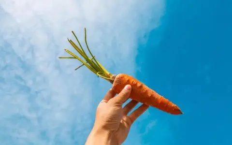 Mano sostiene una zanahoria contra el cielo azul. La zanahoria es un símbolo de salud, ideal para el embarazo.