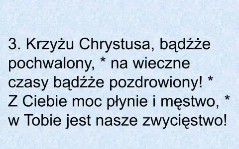 3. Krzyżu Chrystusa, bądźże pochwalony, na wieczne czasy bądźże pozdrowiony! Z Ciebie moc płynie i męstwo, w Tobie jest nasze zwycięstwo!