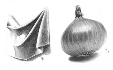 Dibujo a lápiz de una tela doblada y una cebolla. La tela muestra pliegues y sombras detalladas, mientras que la cebolla tiene una textura realista.