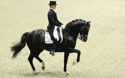 Un cavalier en habit de soirée monte un cheval noir, Totilas, dans une arène de dressage.