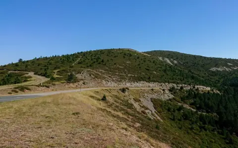 Carretera serpenteante en un paso de montaña cubierto de vegetación y árboles.