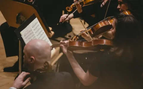 Skupieni muzycy grają na skrzypcach podczas części koncertu bez solisty. Nutki na pulpicie wskazują melodię.