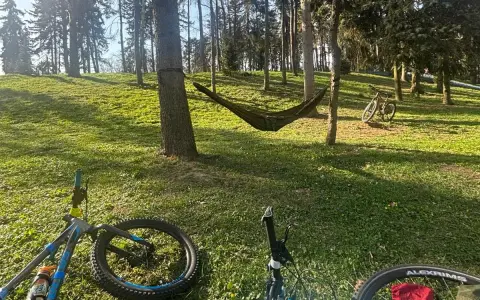 Relaks po przejażdżce po trasach rowerowych okolic Warszawy. Hamak i rowery czekają na odpoczynek w lesie.