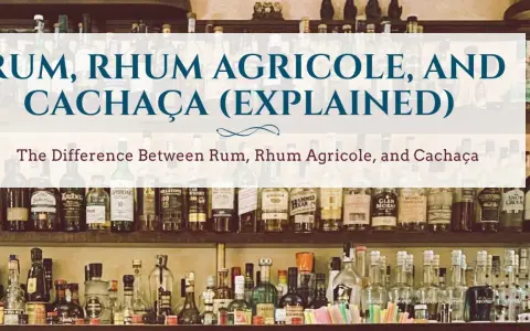 Różne rodzaje alkoholu z trzciny cukrowej: rum, rhum agricole i cachaça. Półki pełne butelek.