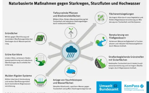 Naturbasierte Maßnahmen gegen Starkregen: Gründächer, Grünkorridore, Feuchtbiotope – alles, was hilft, nicht in my backyard.