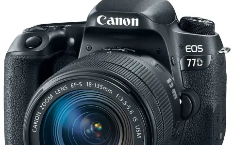 Canon EOS 77D w 2026 roku: Czy nadal warto go kupić?