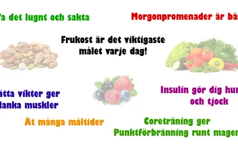 Frukost, nötter, bär och grönsaker för att bli av med fett. Morgonpromenader och coreträning ger punktförbränning runt magen.
