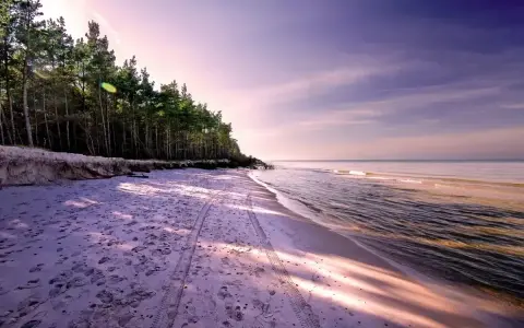 Piękna plaża z lasem sosnowym, ślady opon na piasku. Rumia ile do morza? Niedaleko, czuć zapach bryzy.